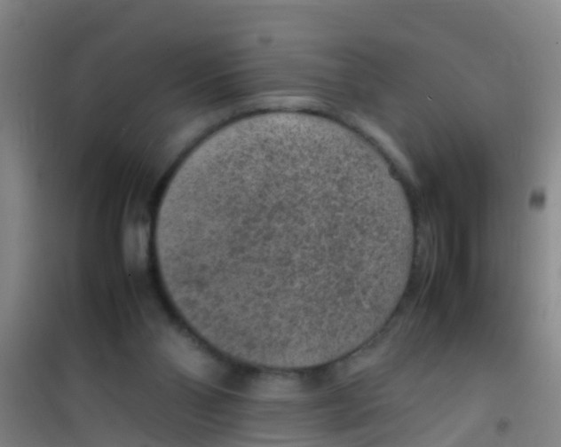 X0000100420110200807032111