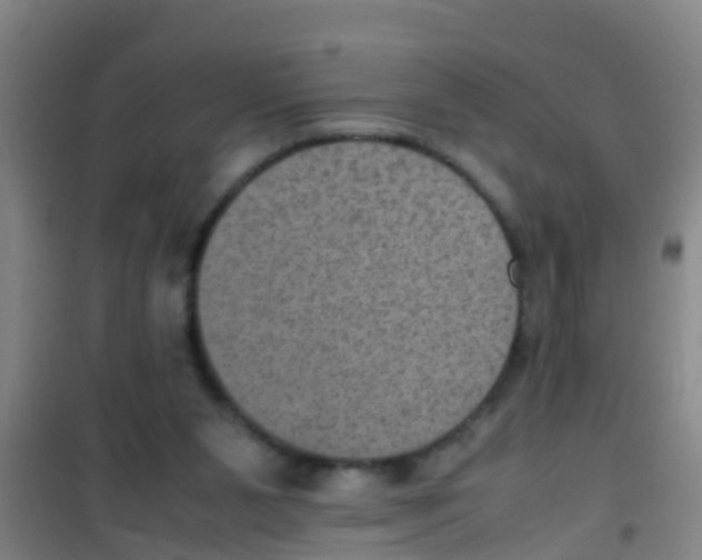 X0000100420111200807032111