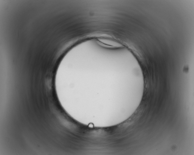 X0000100420112200807032111