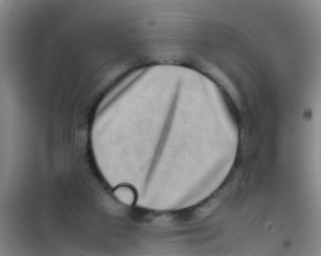 X0000100420113200807032111