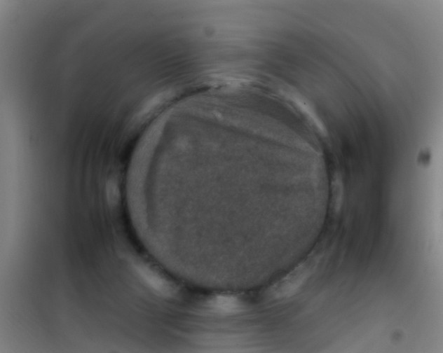 X0000100420114200807032111