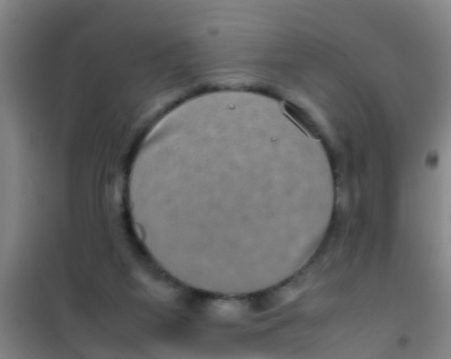 X0000100420115200807032111