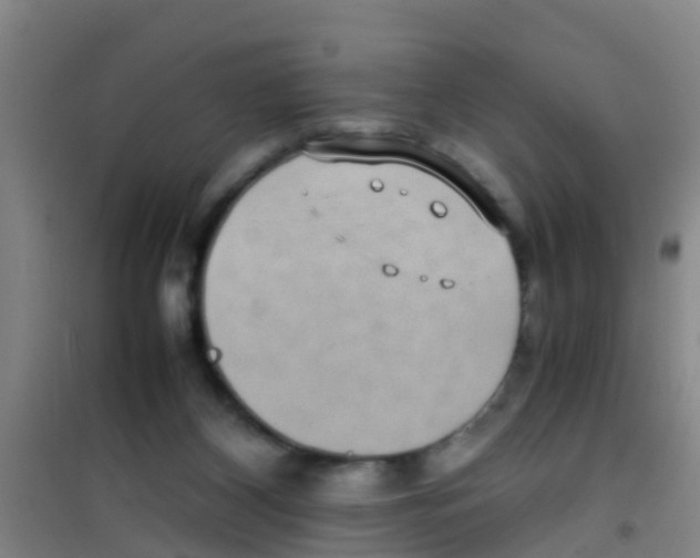 X0000100420116200807032111