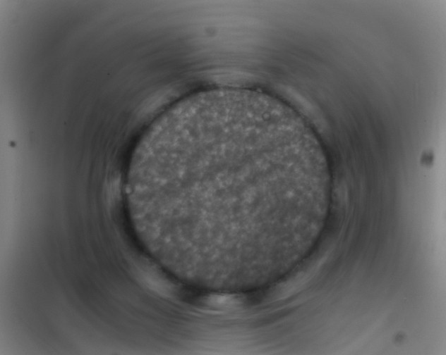 X0000100420117200807032111