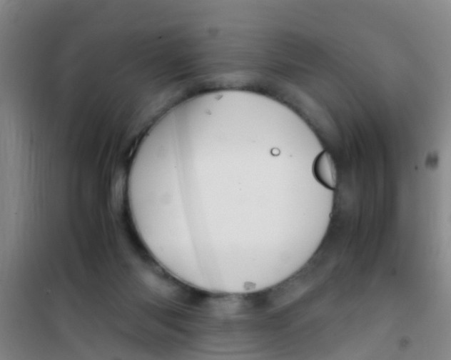 X0000100420118200807032111