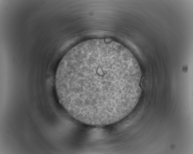 X0000100420119200807032111