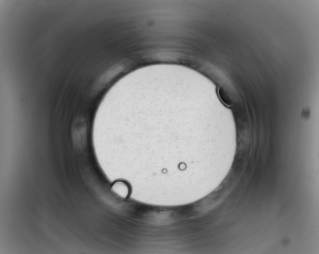 X0000100420120200807032111