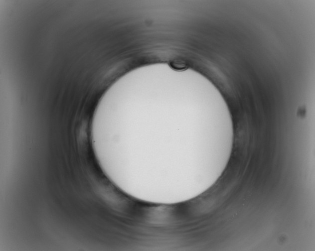 X0000100420122200807032111