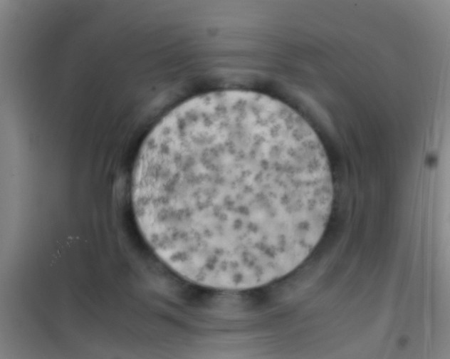 X0000100420123200807032111