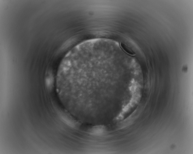 X0000100420124200807032111