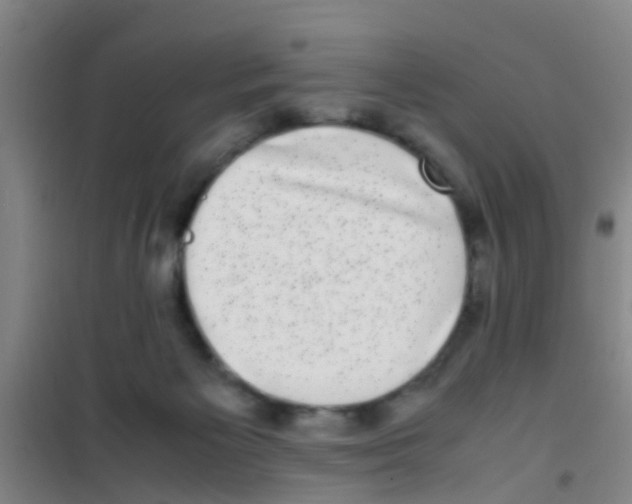 X0000100420125200807032111