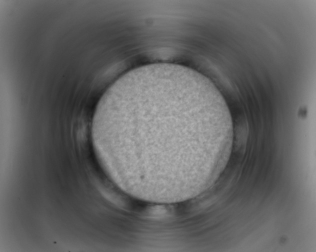 X0000100420126200807032111