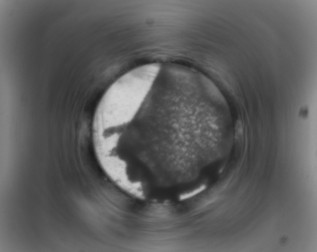 X0000100420127200807032111