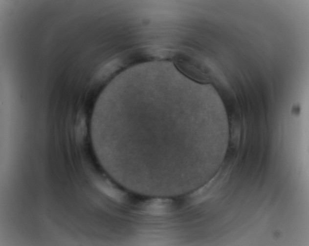 X0000100420128200807032111