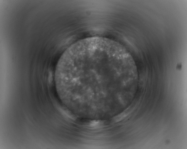 X0000100420130200807032111