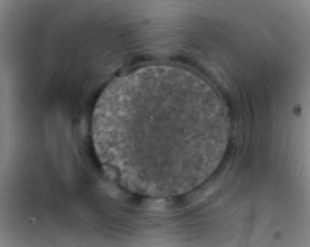 X0000100420131200807032111