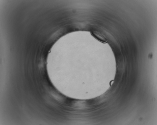 X0000100420132200807032110