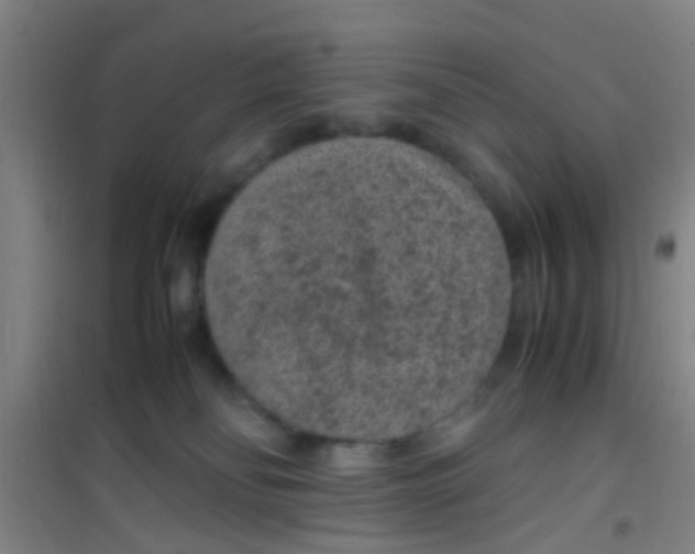 X0000100420134200807032110