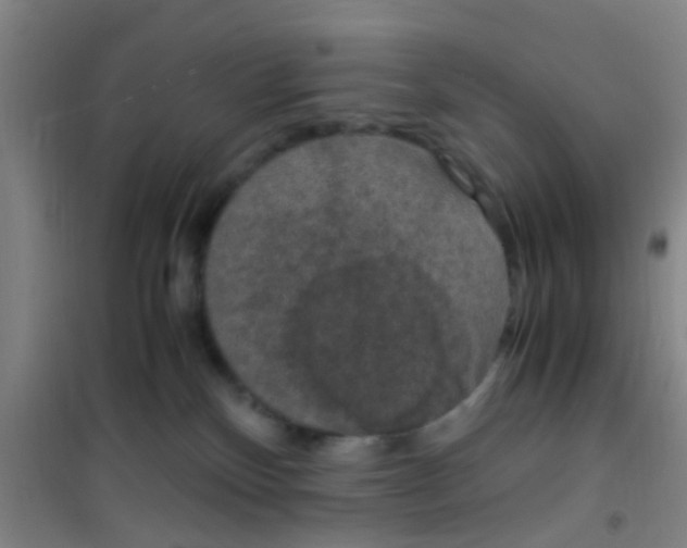 X0000100420136200807032110