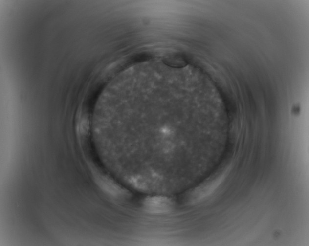 X0000100420137200807032110