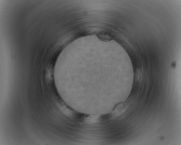 X0000100420138200807032110