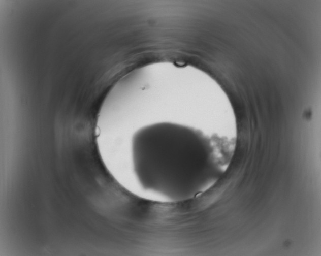 X0000100420139200807032110