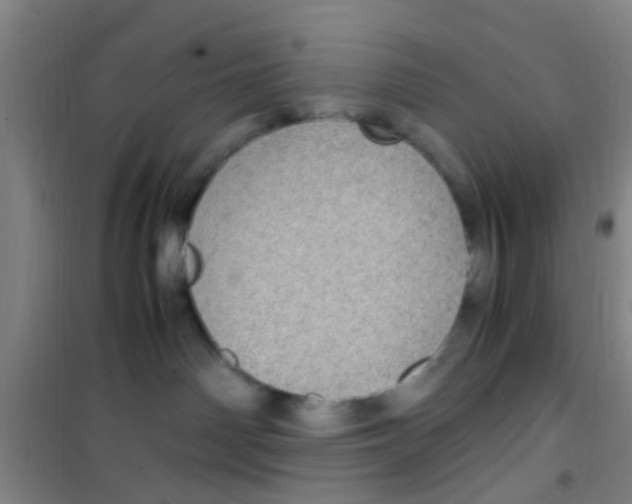 X0000100420142200807032110