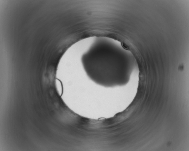 X0000100420143200807032110