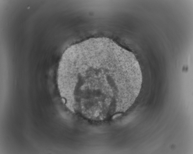 X0000100420144200807032110