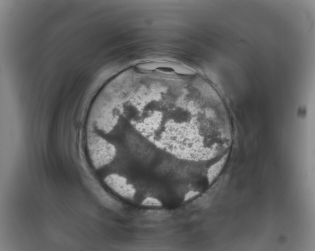 X0000100420145200807032110