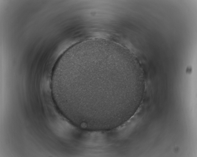 X0000100420146200807032110