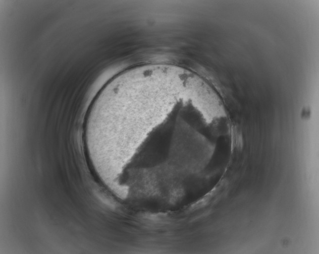 X0000100420147200807032110