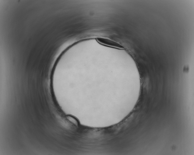 X0000100420148200807032110