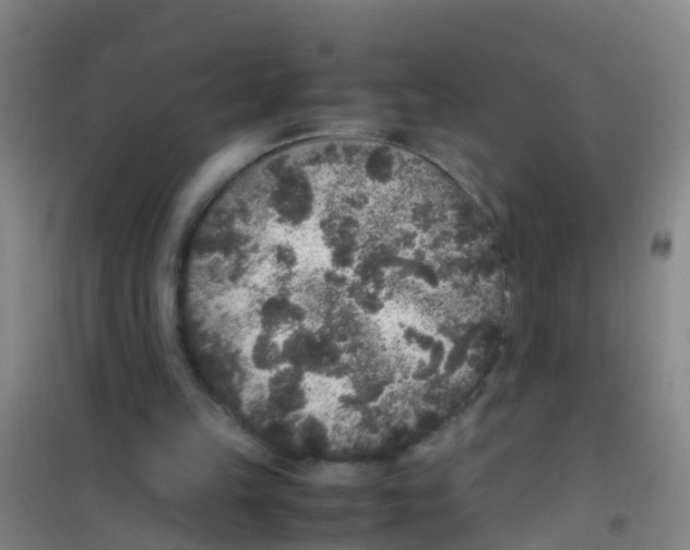 X0000100420149200807032110