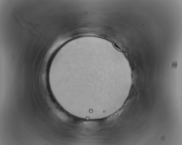 X0000100420150200807032110