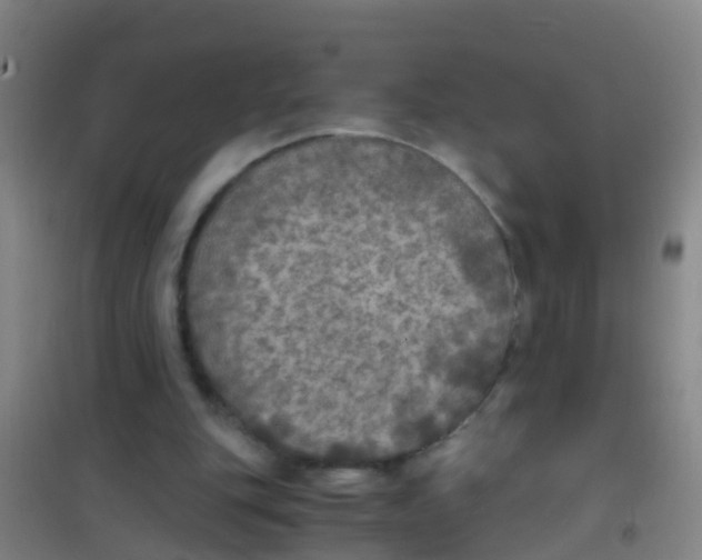 X0000100420151200807032110