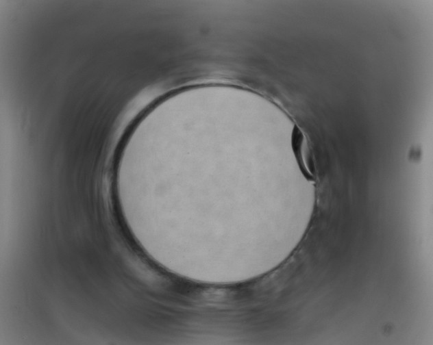 X0000100420152200807032110