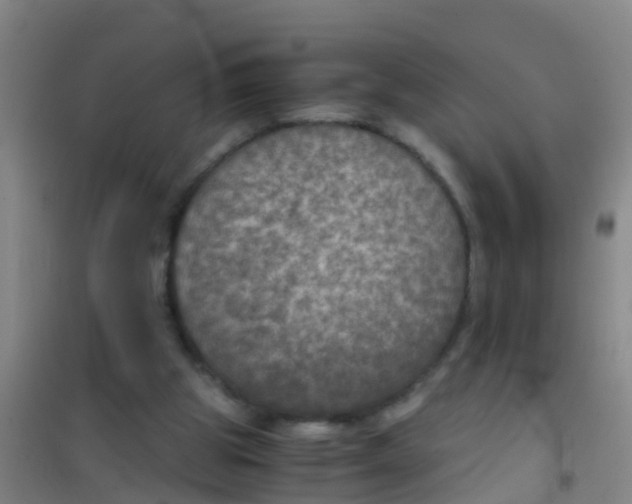 X0000100420153200807032110