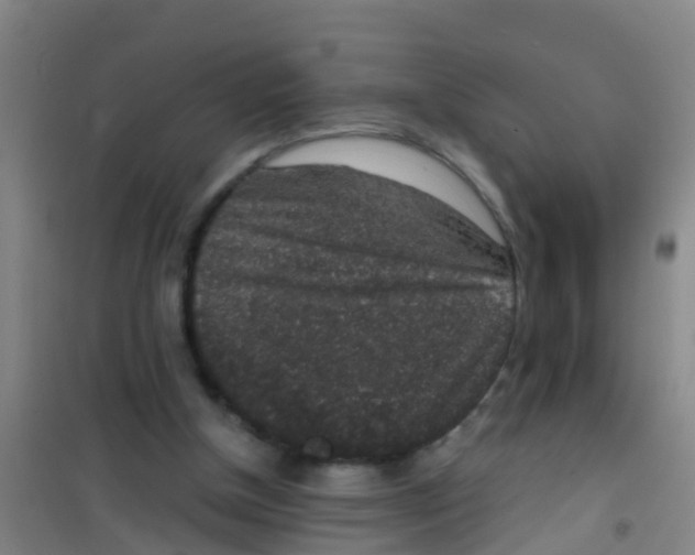 X0000100420154200807032110