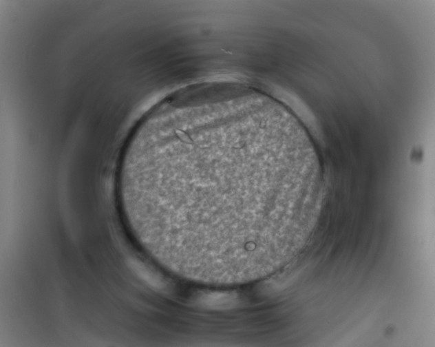 X0000100420155200807032110