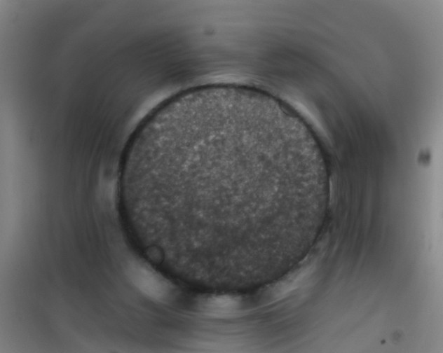 X0000100420156200807032110