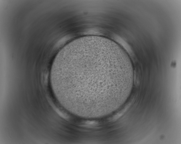 X0000100420157200807032110