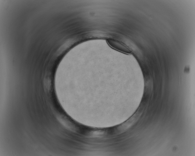 X0000100420158200807032110