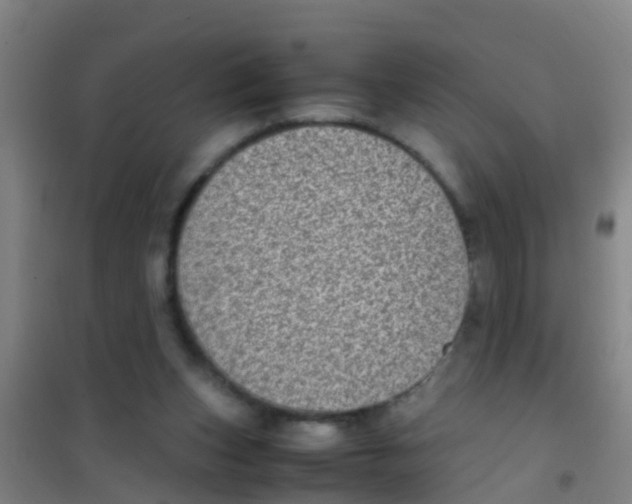 X0000100420159200807032110