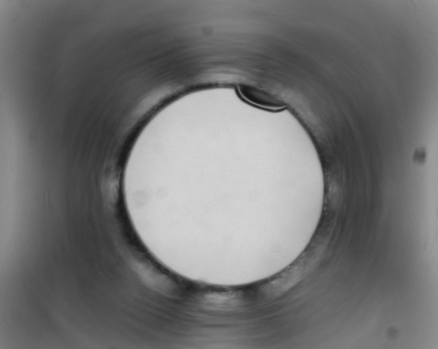 X0000100420160200807032110