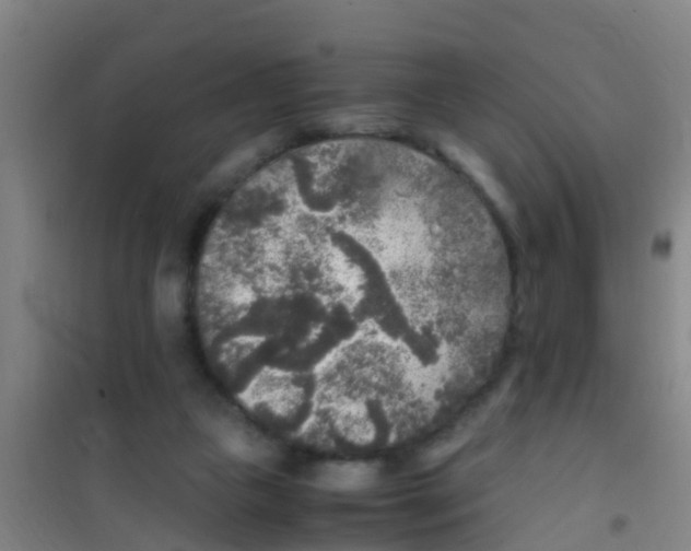 X0000100420161200807032110