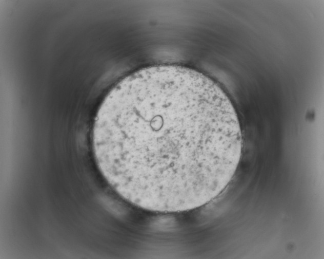 X0000100420162200807032110