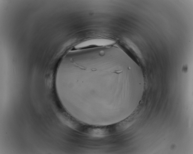 X0000100420163200807032110