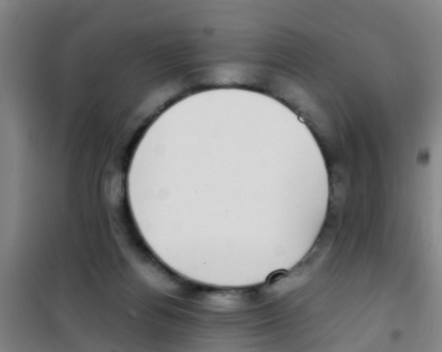 X0000100420164200807032110