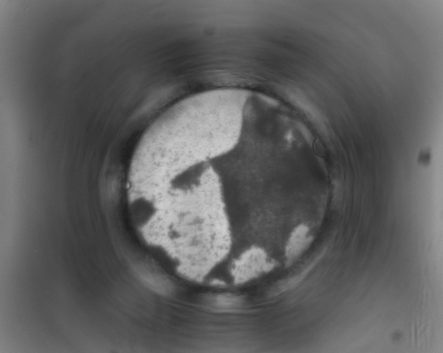 X0000100420165200807032110